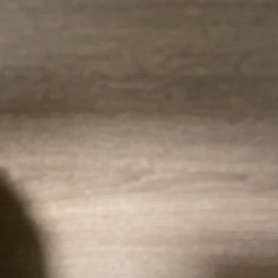 拉拉