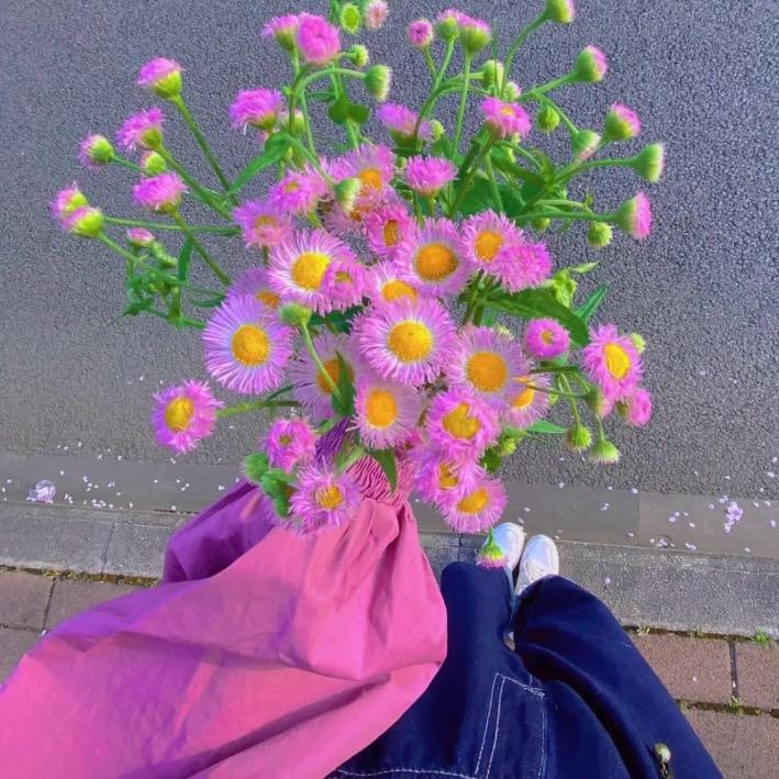 二十一画的❤️