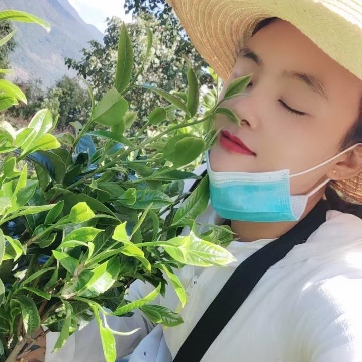 国庆   茶🍃