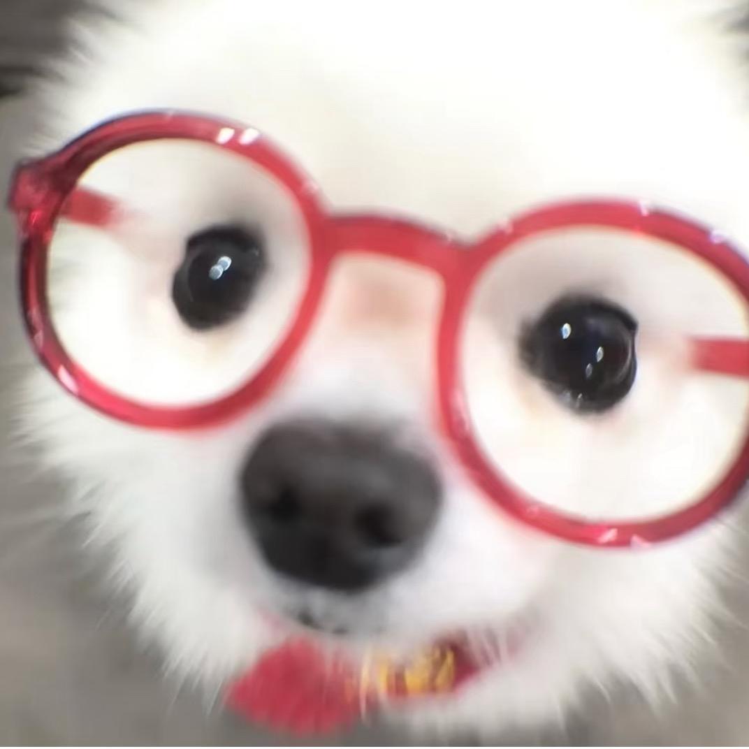 煲仔小肥羊