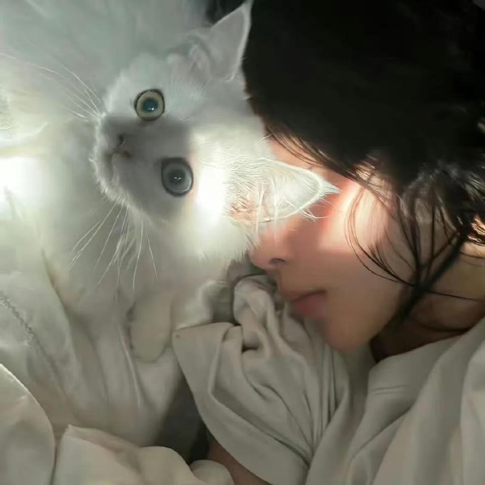 HO-