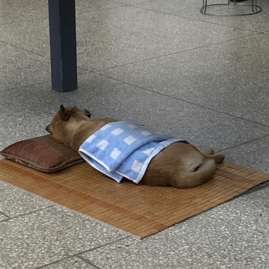 红记垂钓园
