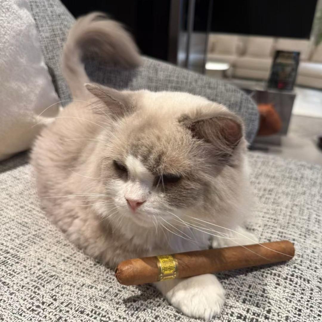 醇醇