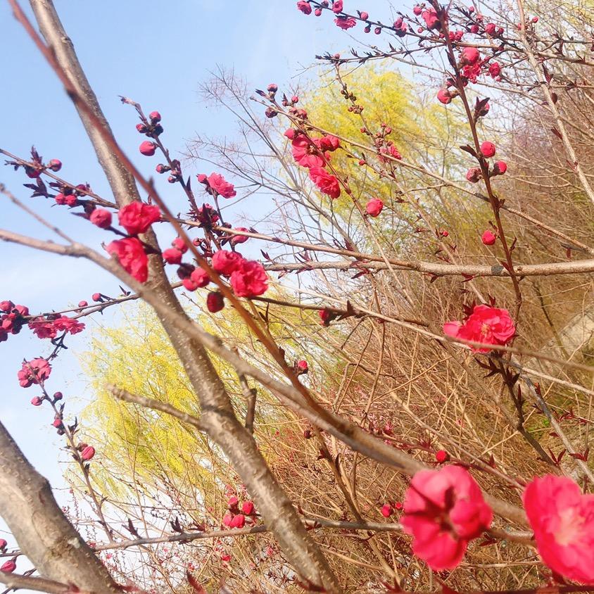 ❤爱惜小进❤️