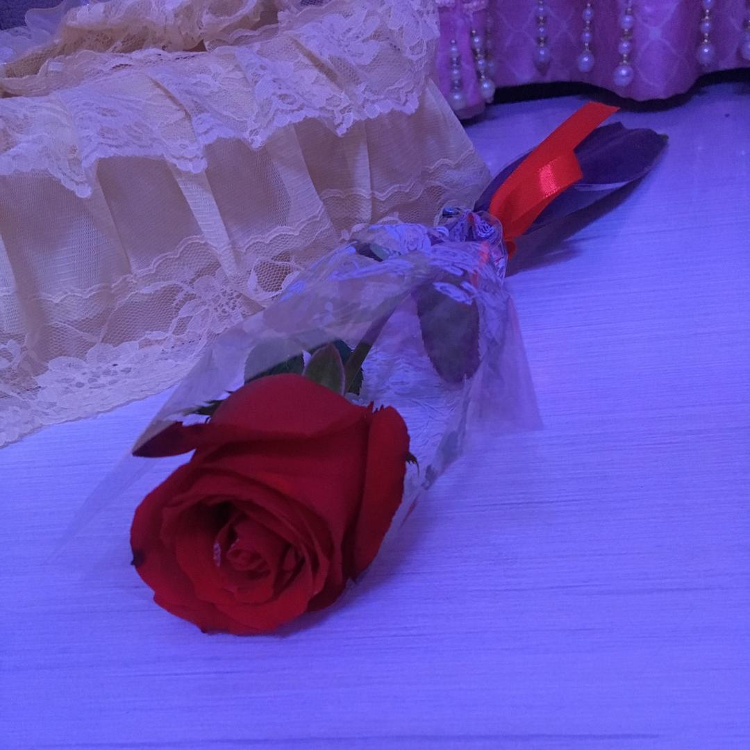 火树樱花