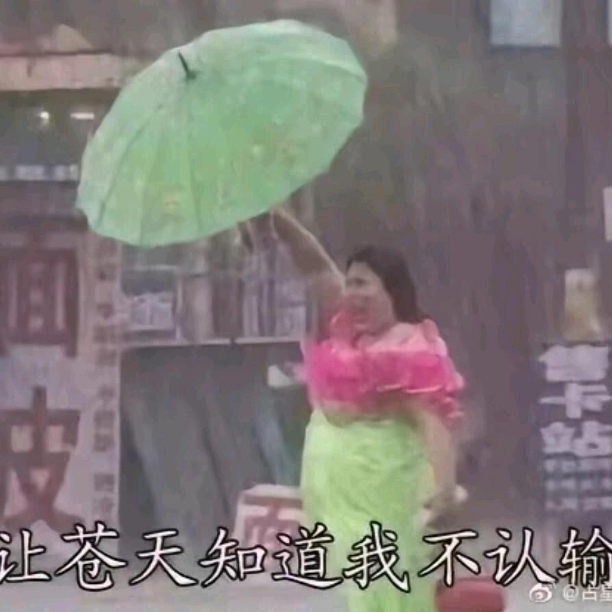 葵鲤Ⱄⱄᐝ