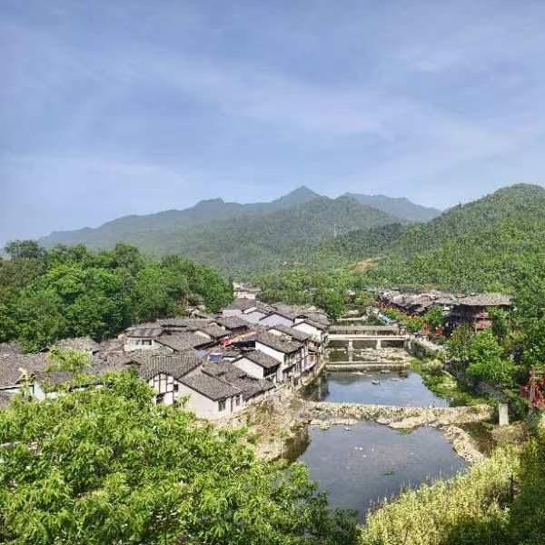 五姐妹