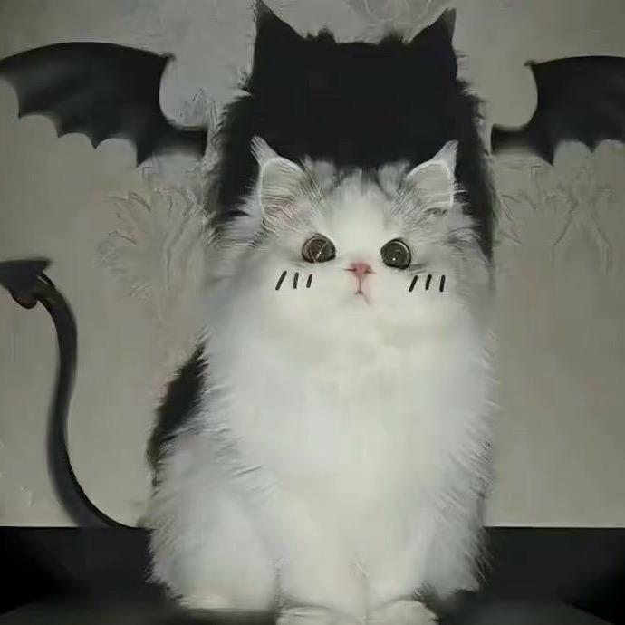 V.