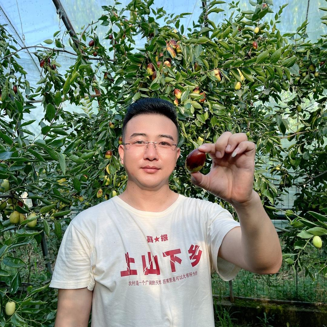 灵武长枣杨子鲜生