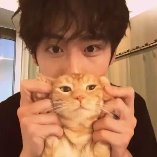 马生序（增肌版）