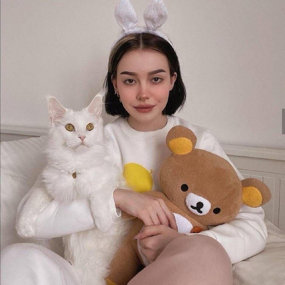 睡不着的泡泡糖：💤