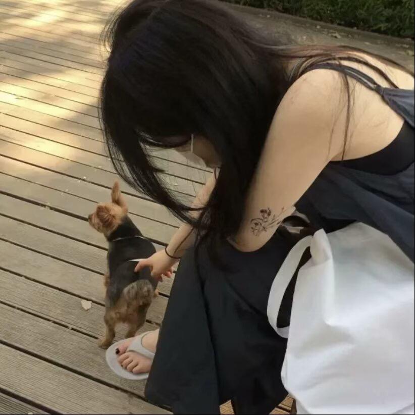 箭幼