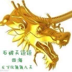 邪火凤凰