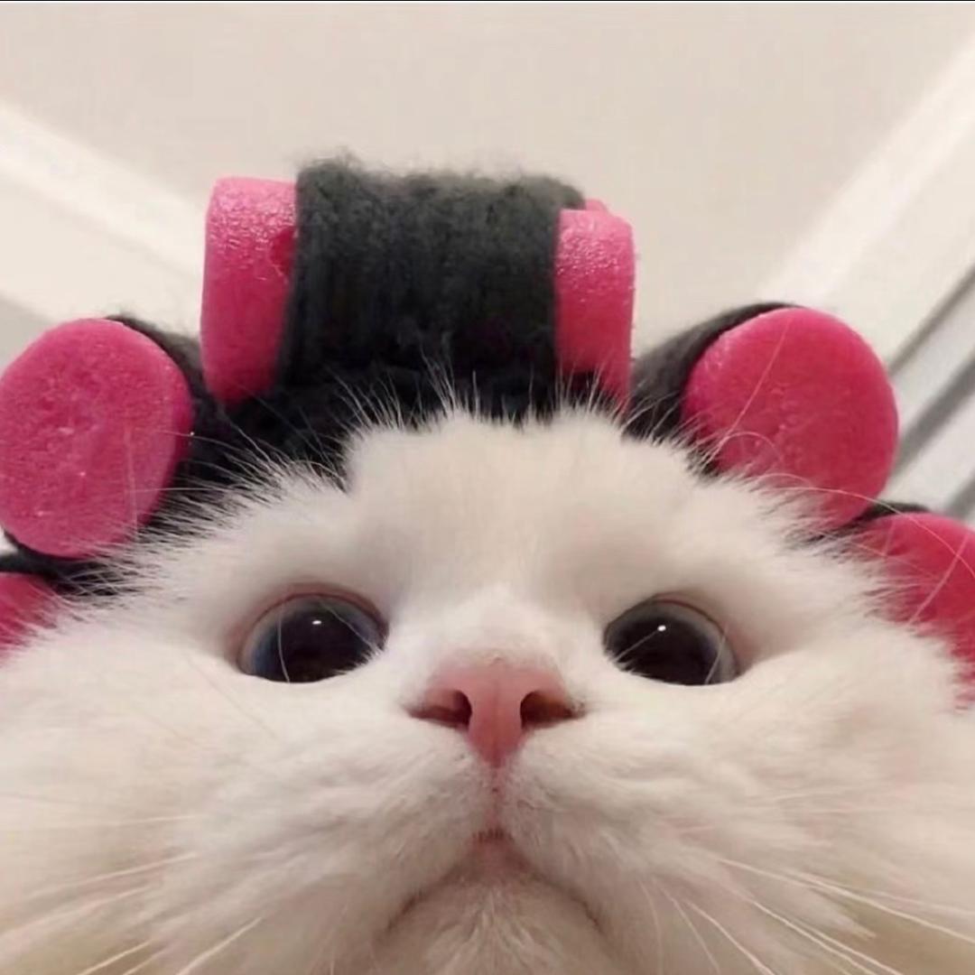 ++