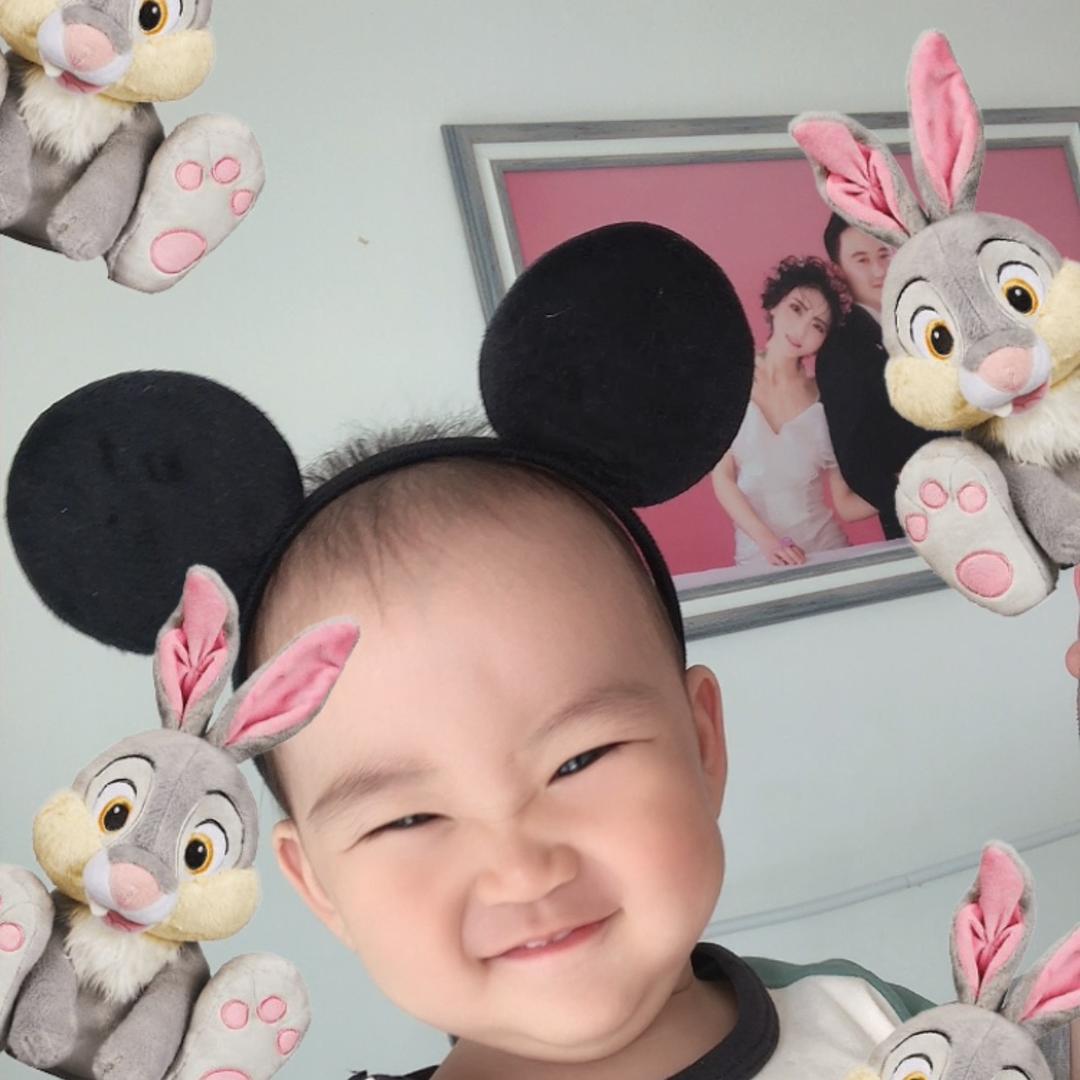 C-大龙