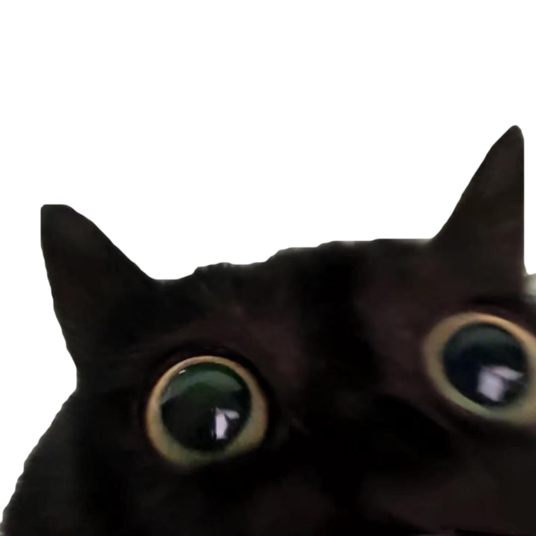 上课不能打瞌睡🎀