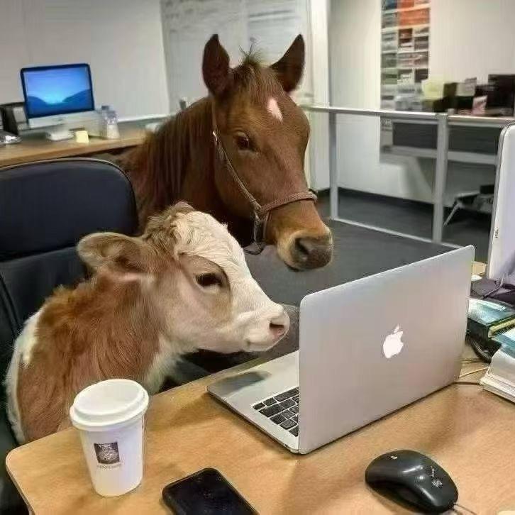 🐴乐华