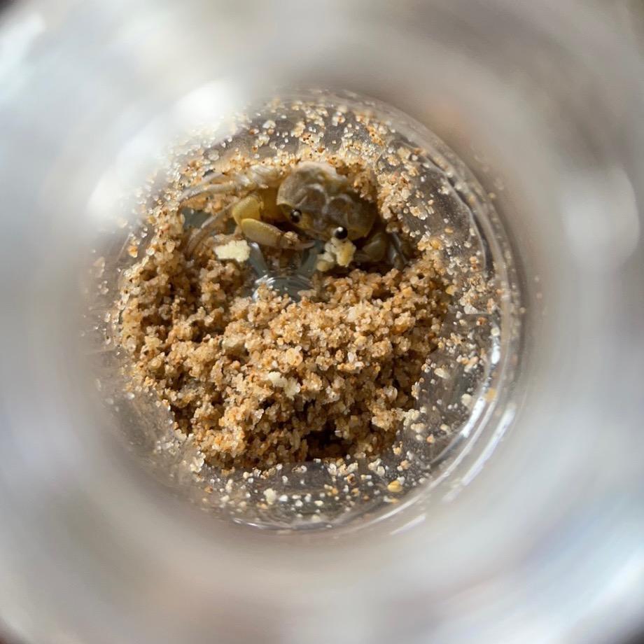 公馆开发商头像