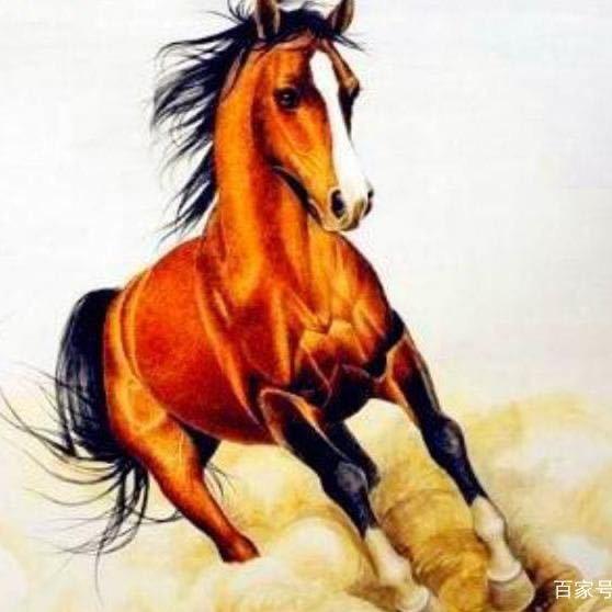 马到成功