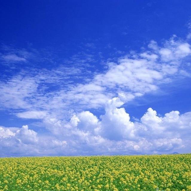 ও🕊ꦿ一笔勾肖🕊꧔ꦿ💞