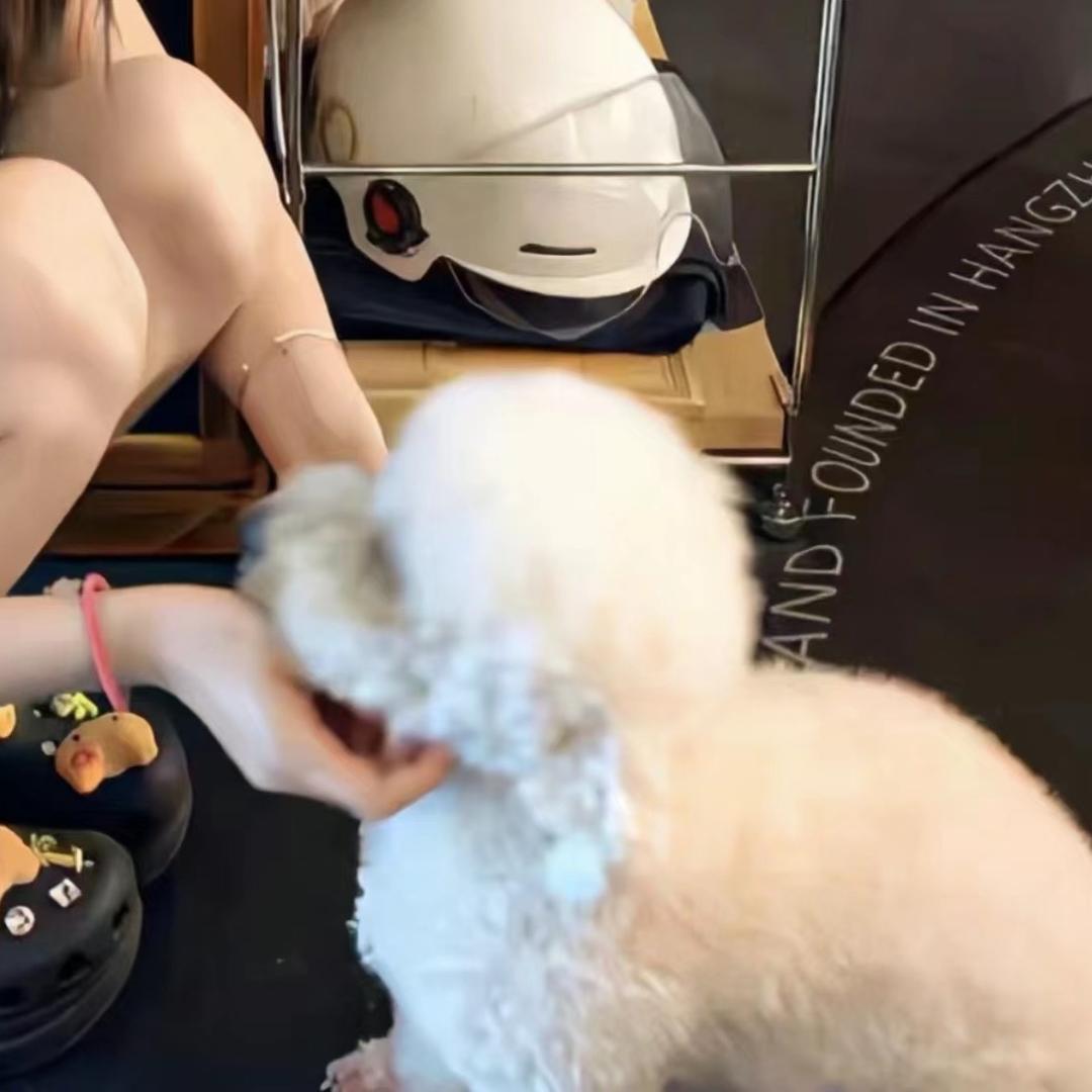 Yyy.