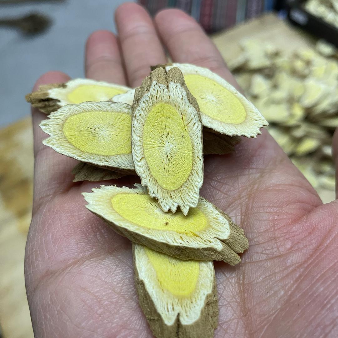 芪芝缘恒山黄芪