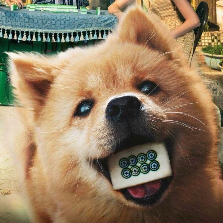 吃饱了就不饿了