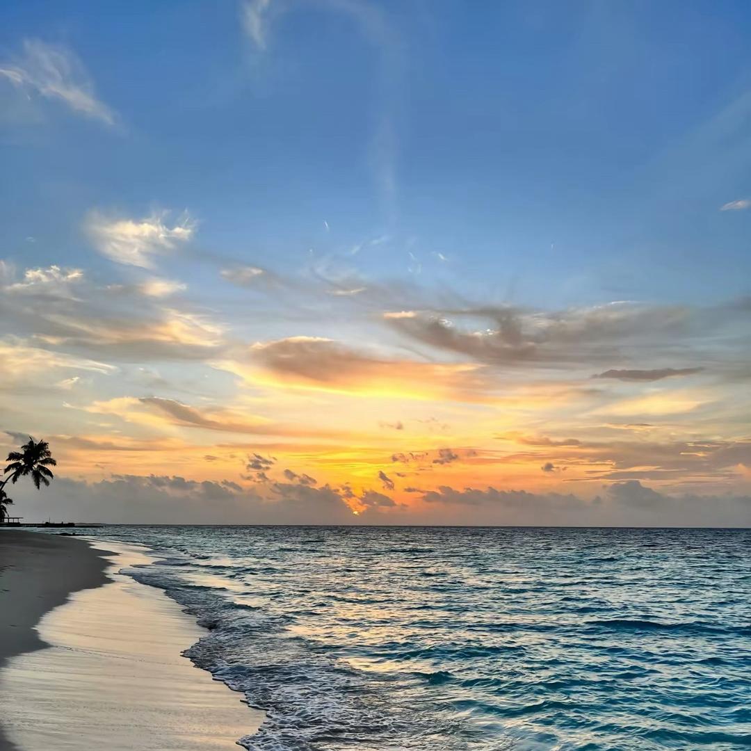 木森（好运连连）