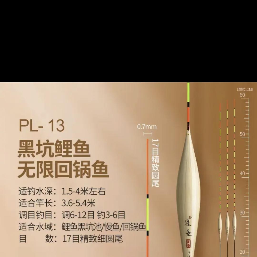 雀垂浮漂
