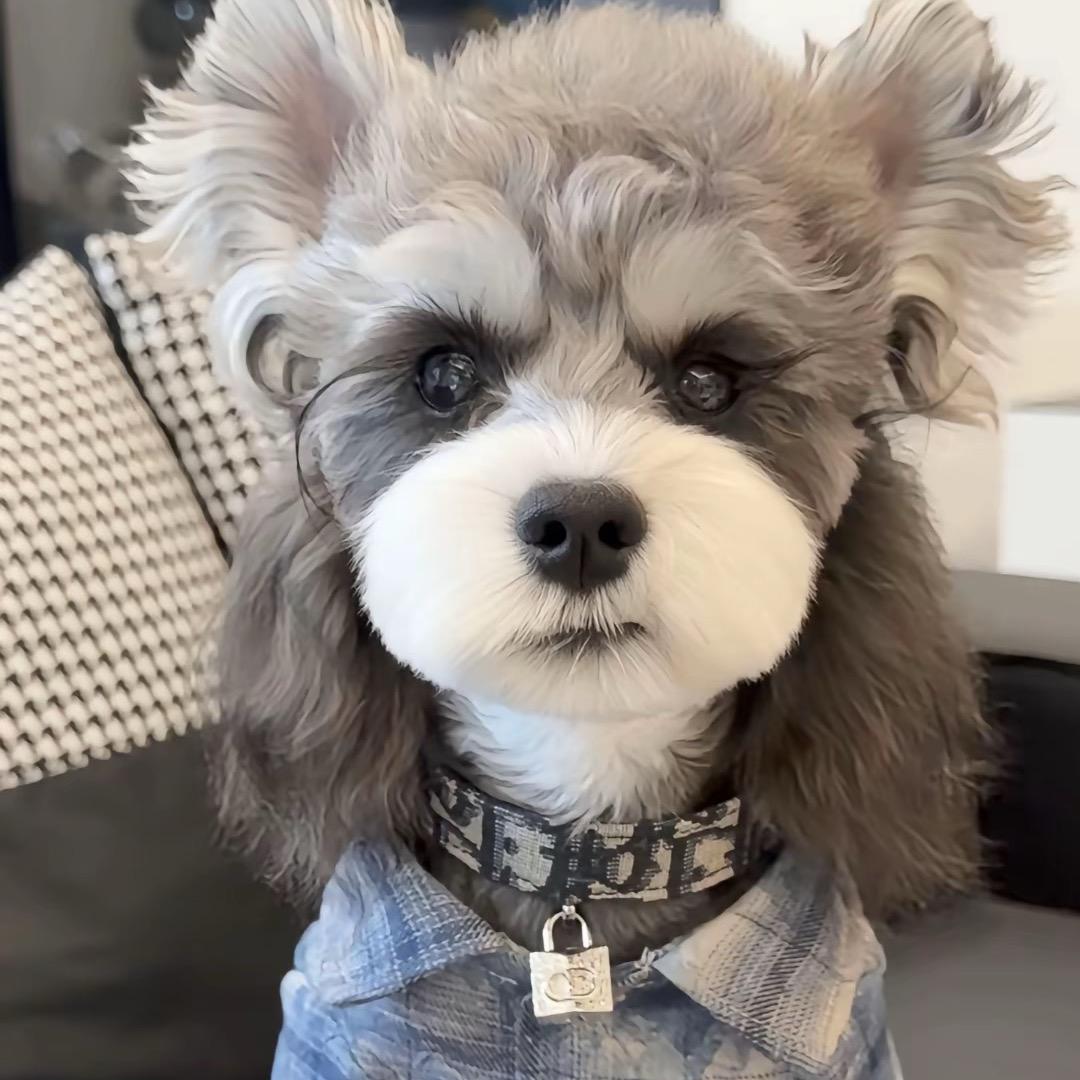 十秒钟🌻