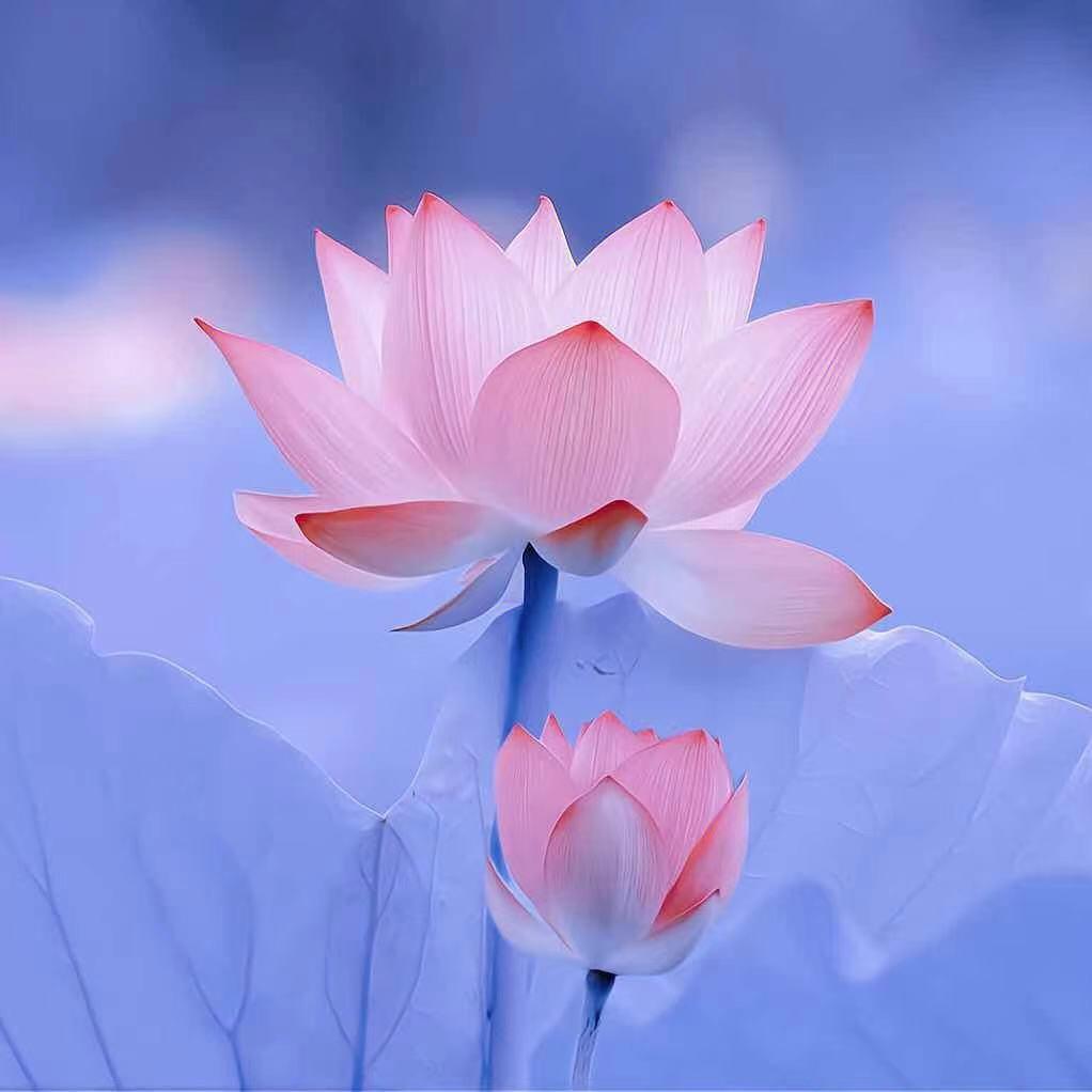 一生走来不容易