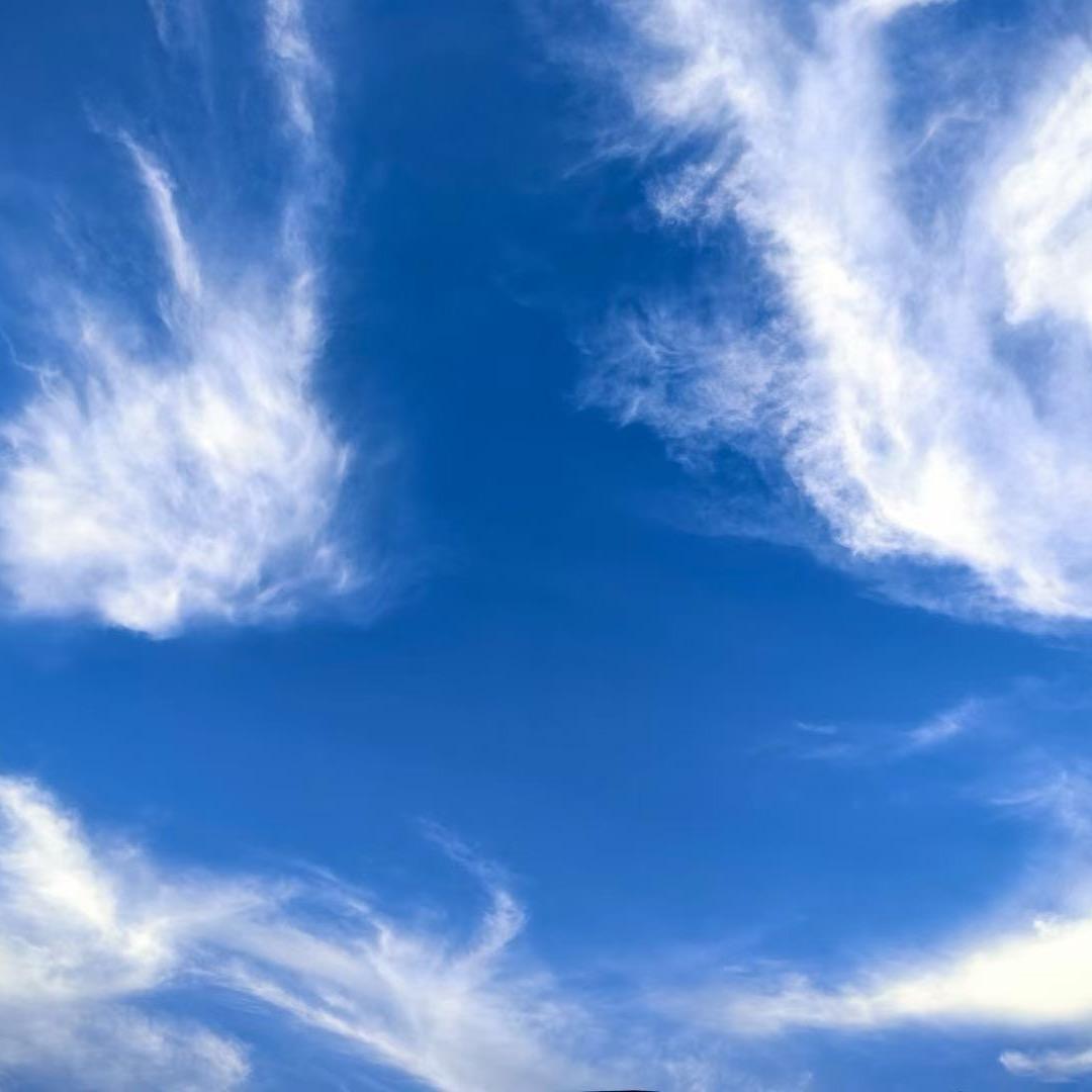 用户21685626813579