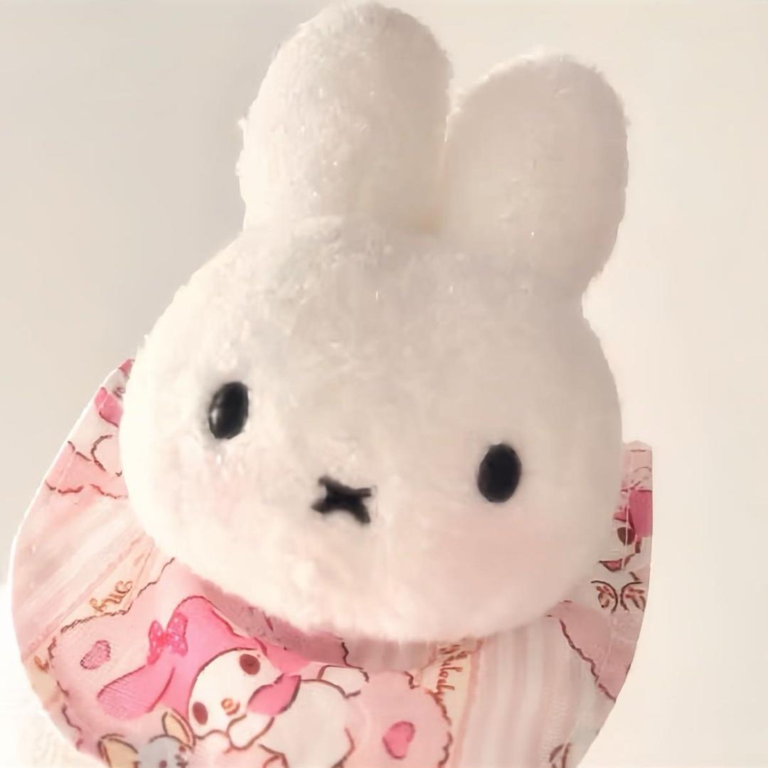 baby淮