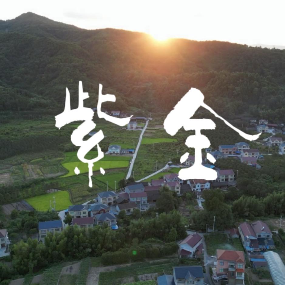 紫金特产