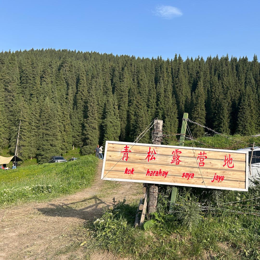 青松露营地🏕️
