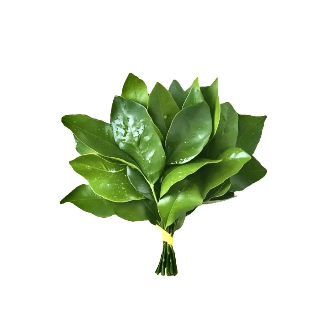 小小包子
