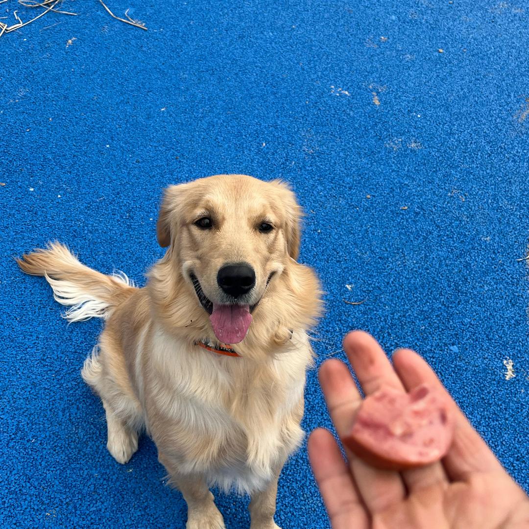 聚雾散🌫️
