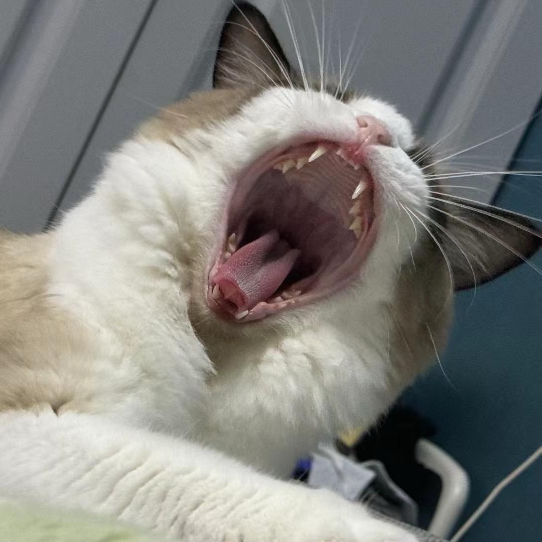 我要困高。