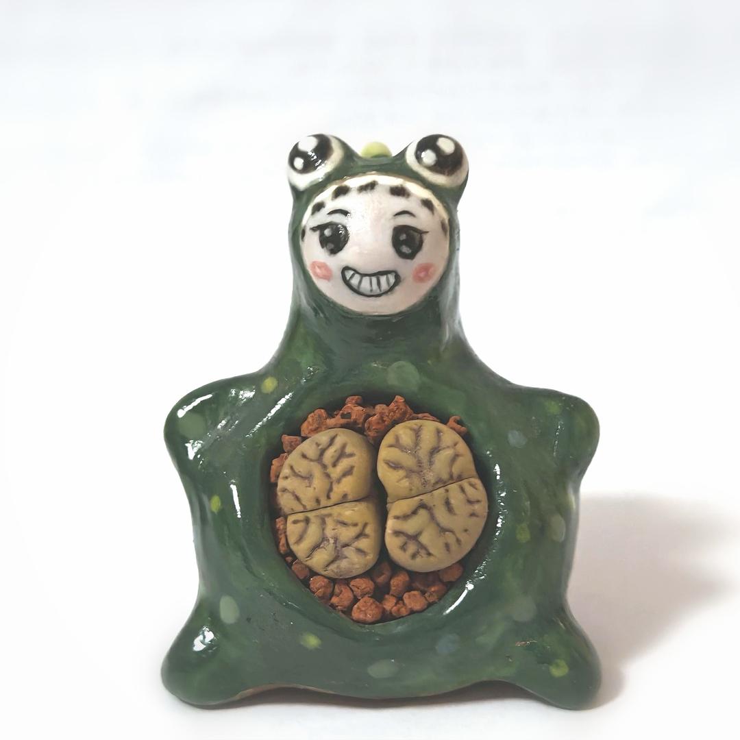 🌼养多肉的小女孩👧亏血出闲置花盆