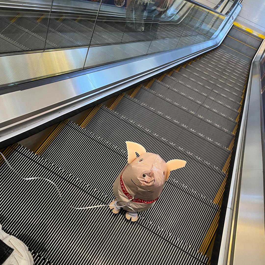 一叶の