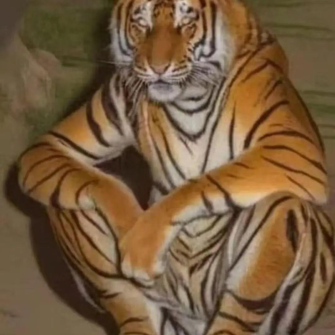 澳门🇲🇴路路通