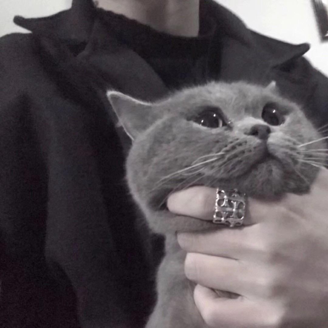 止戈