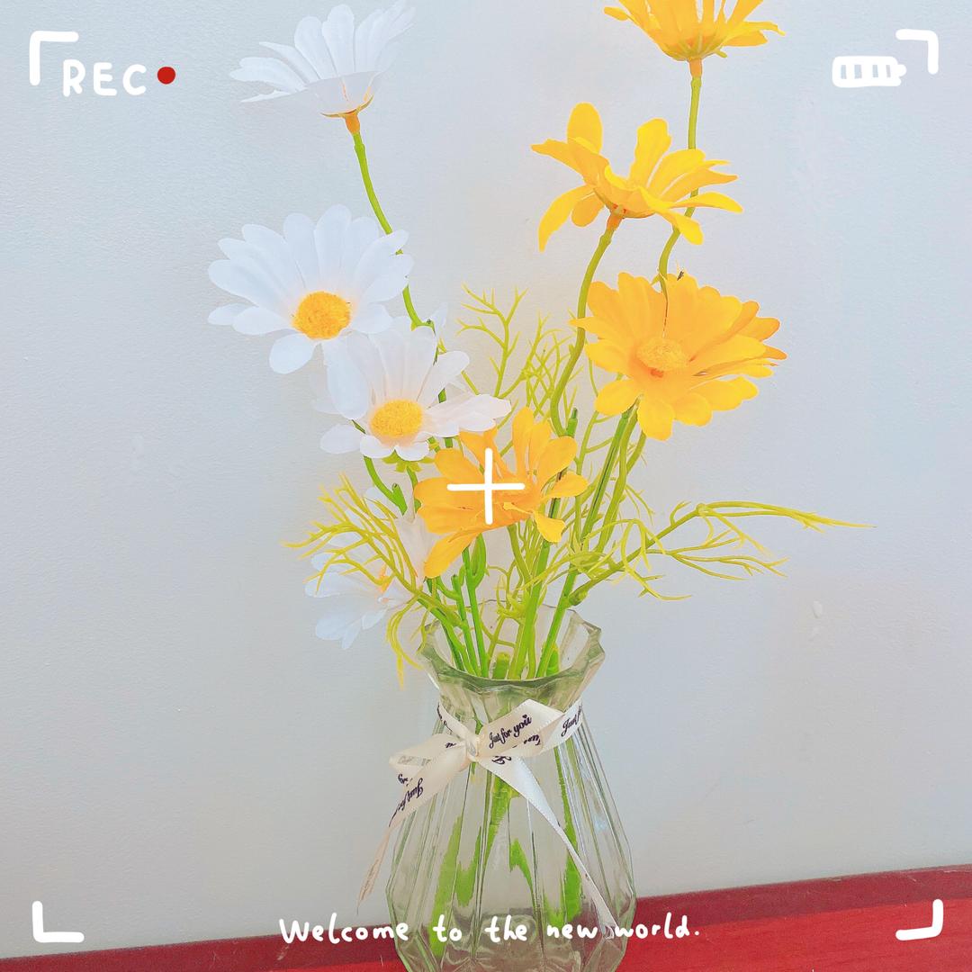 璇⃔小⃔七⃔（学习期）