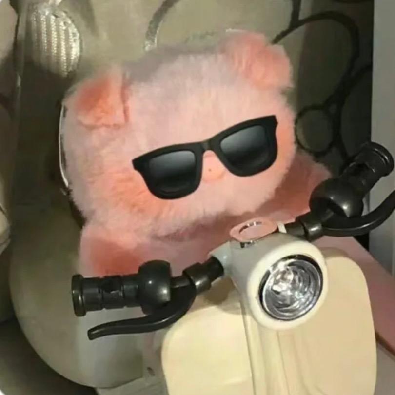 真的不能再吃了