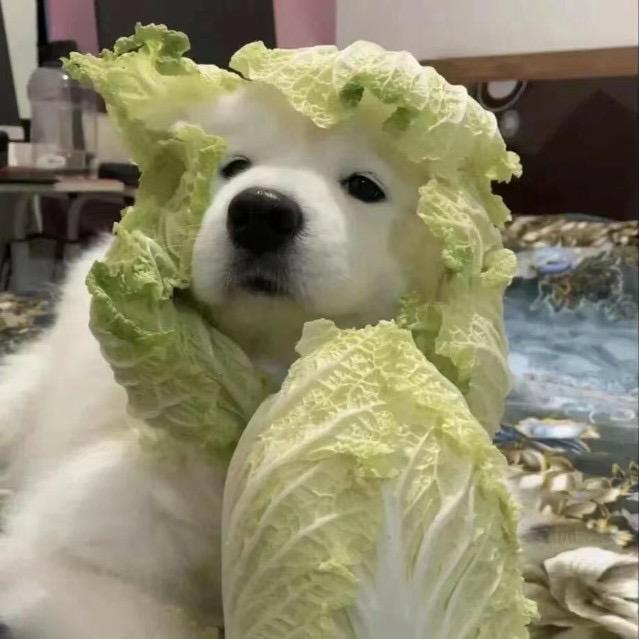 🌈把你们豆沙喽