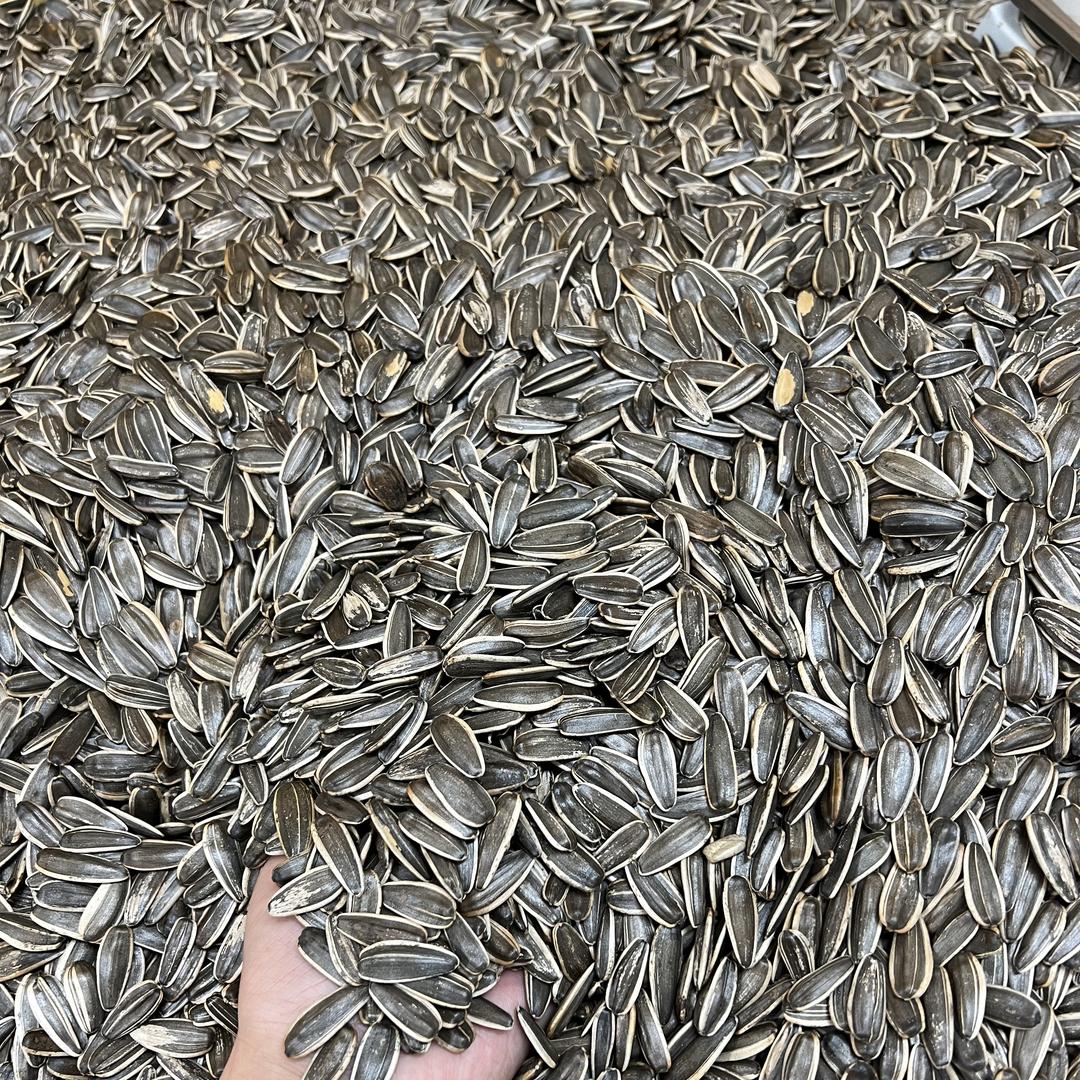 水果王子4
