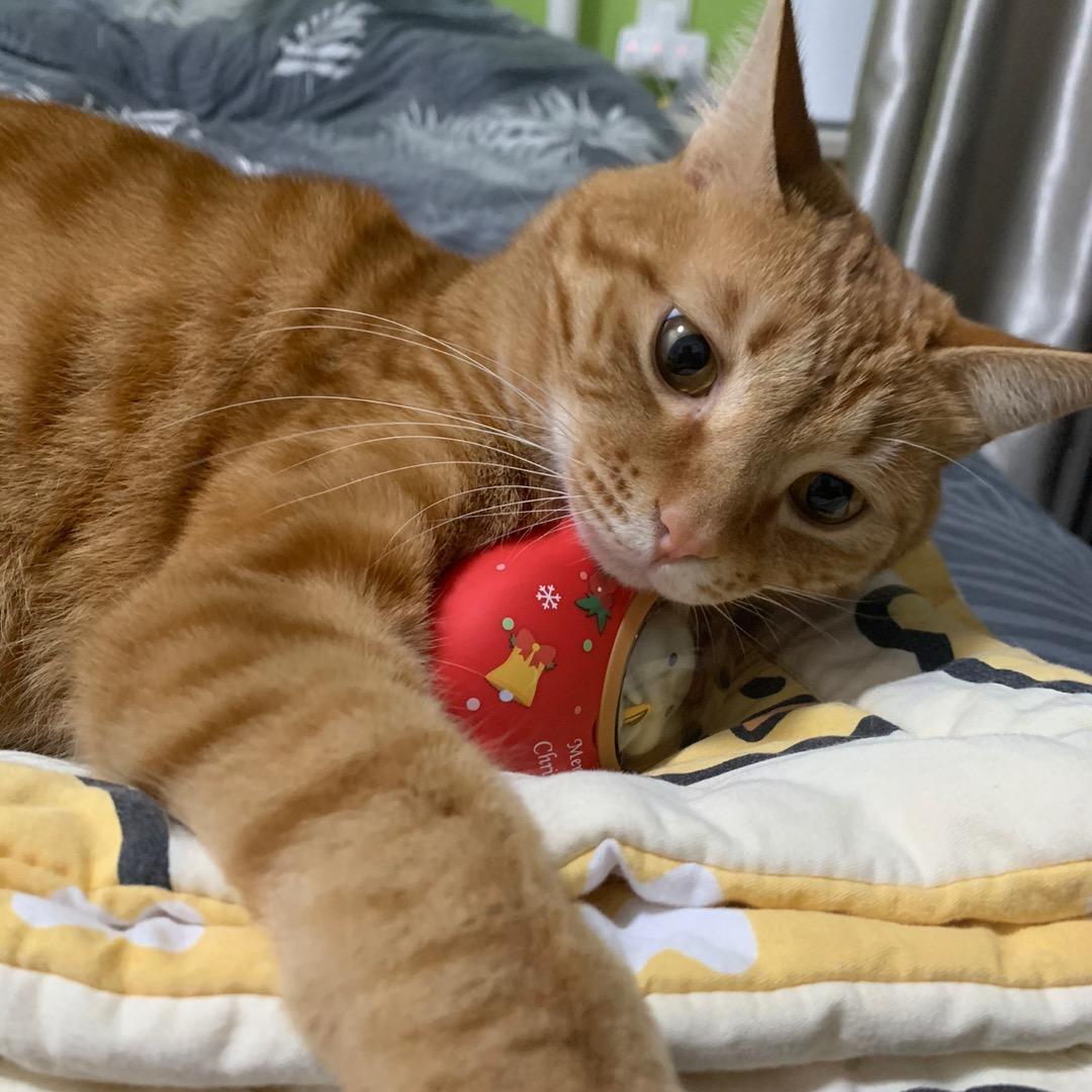 🥤Neko🍼