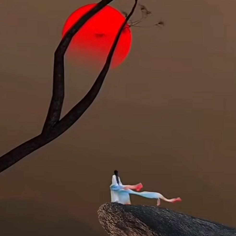 思远爱收藏