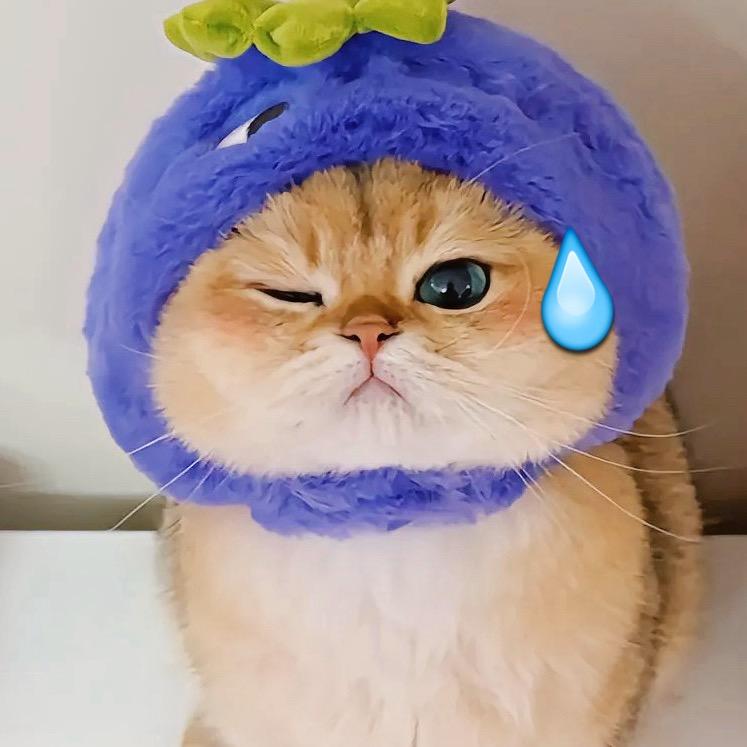 屁屁安吉拉🥕