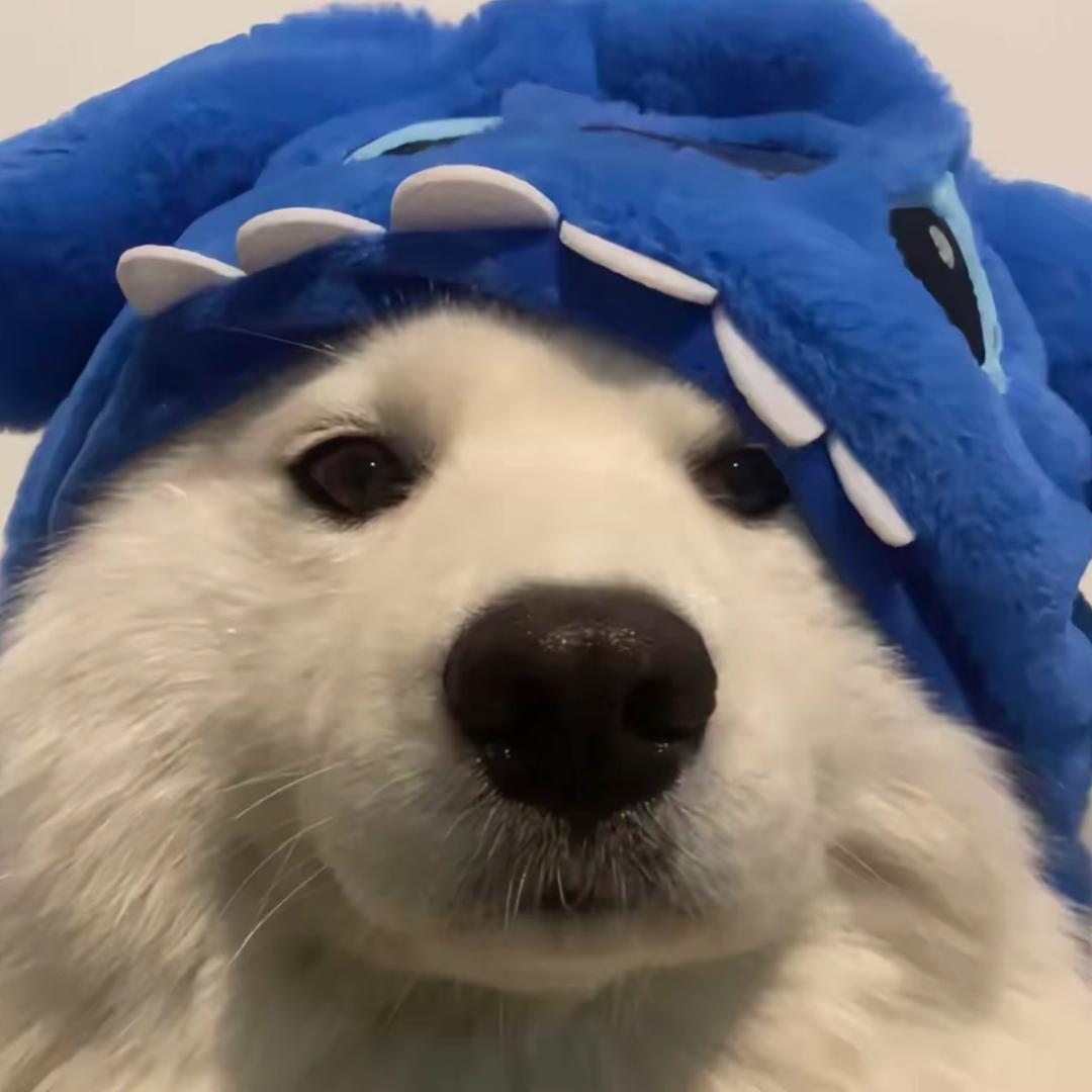 难赴